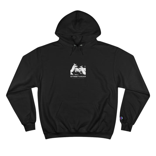 Street wear Champion Hoodie