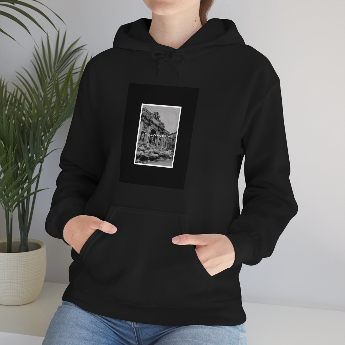 the colosseum Hooded Sweatshirt