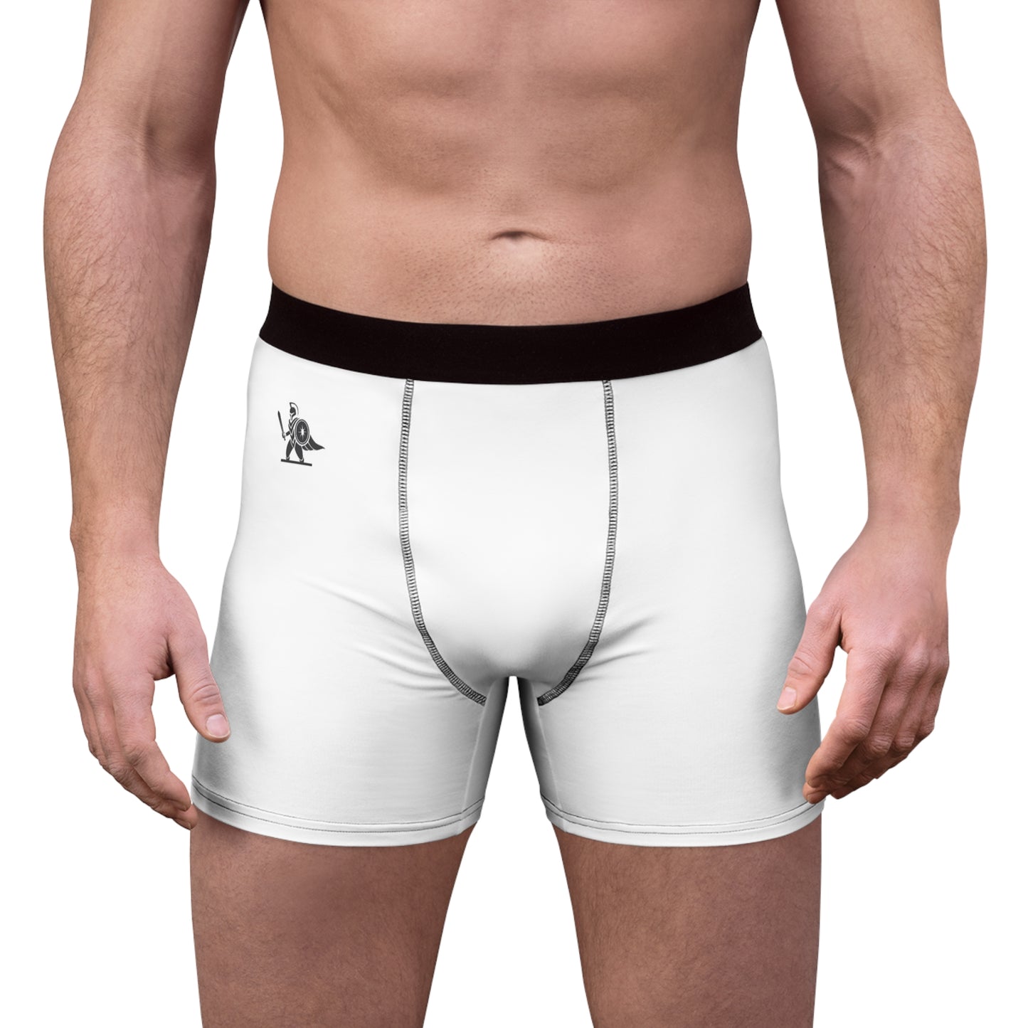 parabellum spartan Men's Boxer Briefs (AOP)